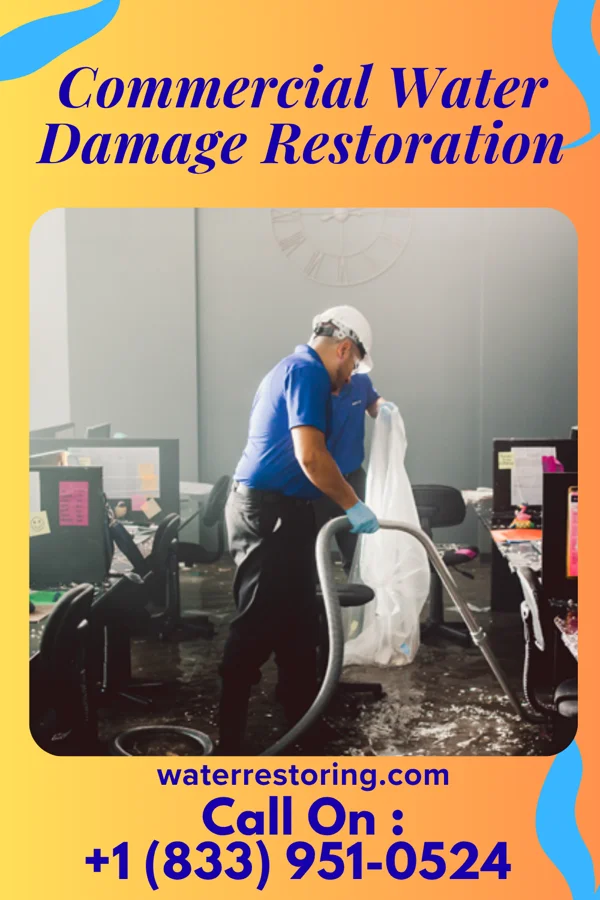 Commercial Water Damage Restoration in Judith Gap, MT